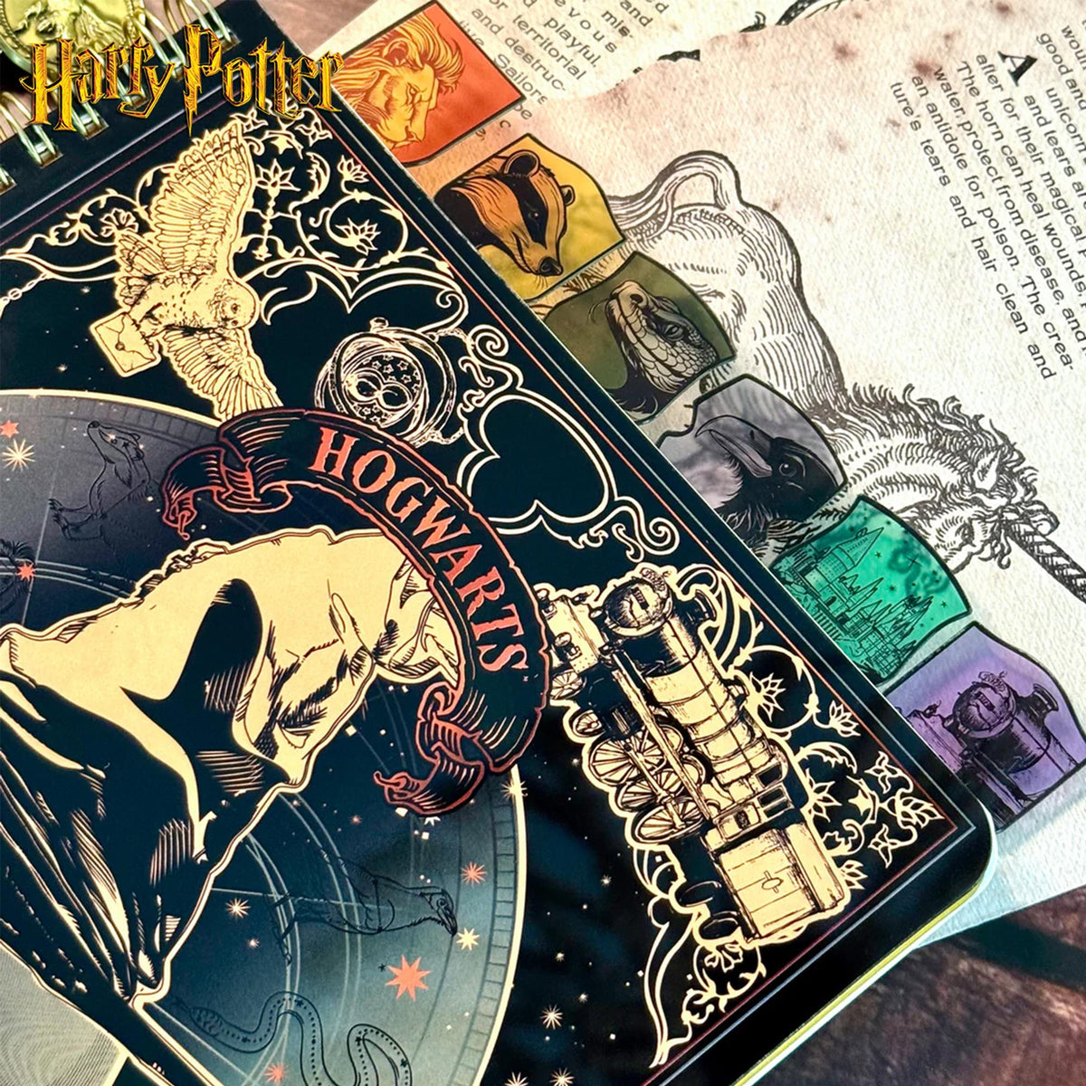 Harry Potter Sorting Hat 8 x 7 Inch 6-Tabbed Spiral Journal | 144 Pages