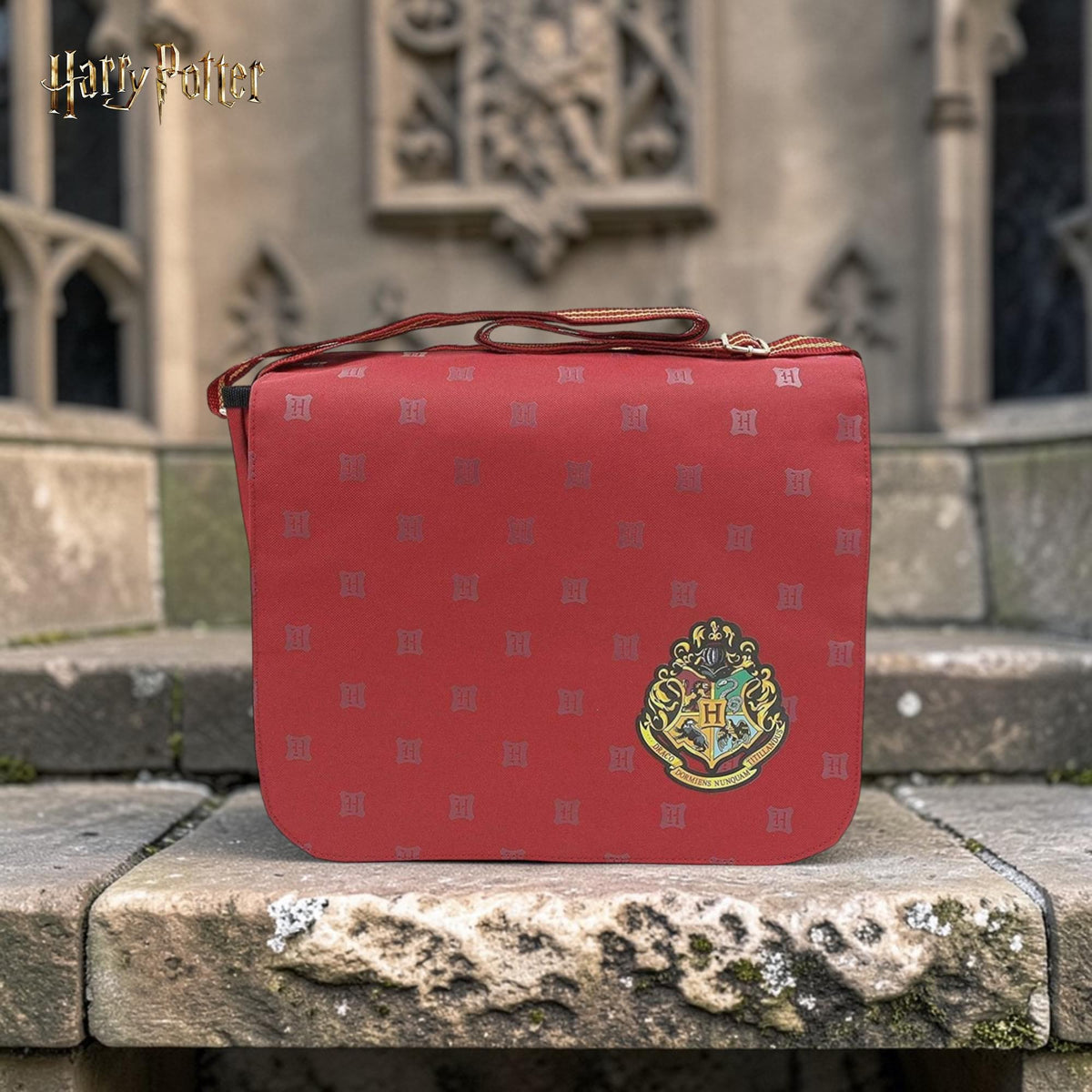 Harry Potter Despatch Bag | 11 x 13.5 Inches