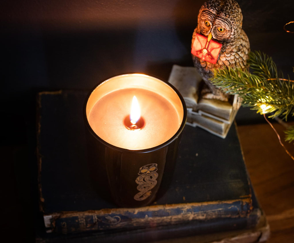 Harry Potter Dark Arts Premium Scented Soy Wax Candle