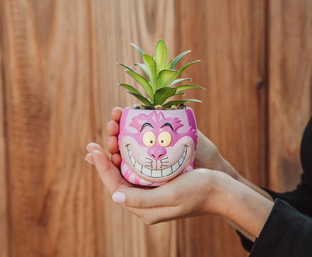 Disney Alice In Wonderland Cheshire Cat Mini Planter with Artificial Succulent