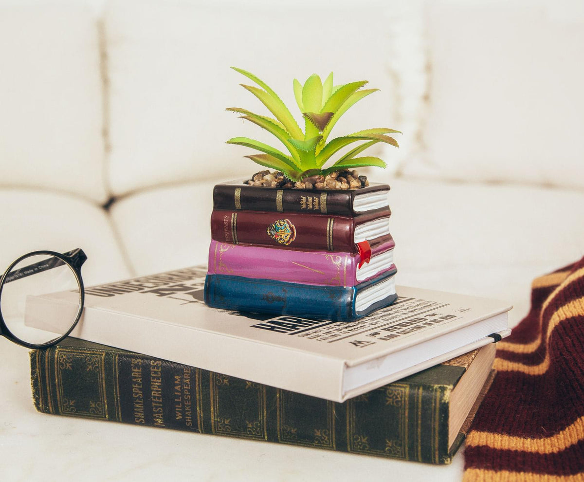 Harry Potter Book Stack 3-Inch Ceramic Planter With Artificial Succulent