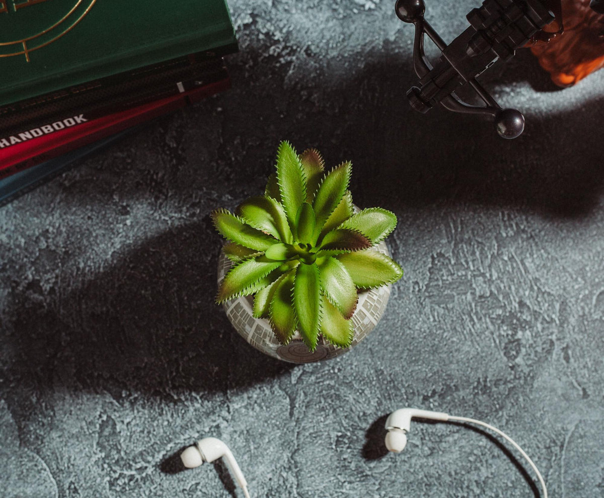 Star Wars Death Star 3-Inch Ceramic Mini Planter With Artificial Succulent