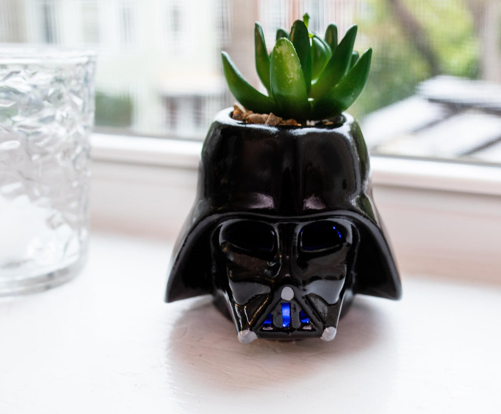 Star Wars Darth Vader Helmet Light-Up Mini Planter With Artificial Succulent