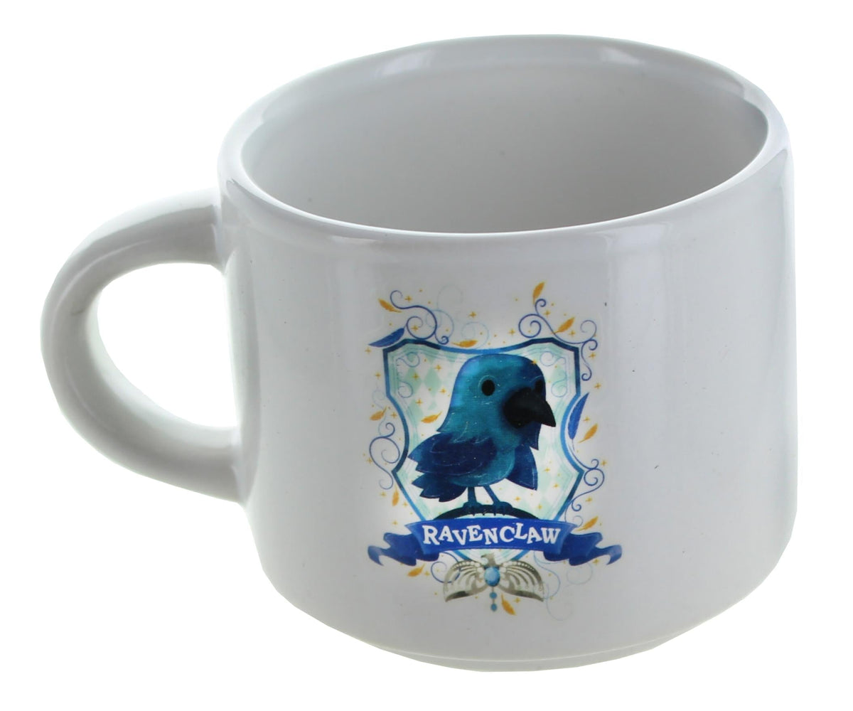 Harry Potter House Ravenclaw LookSee Box