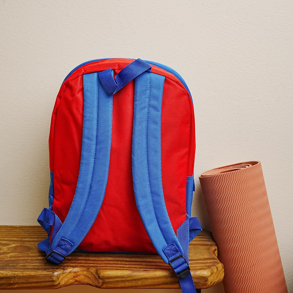 Marvel Spidey and His Amazing Friends 15 Inch Backpack